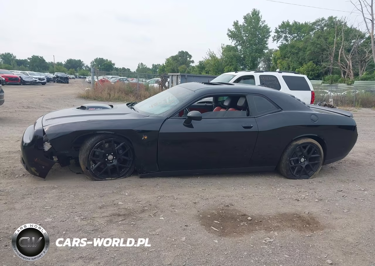 2016 Dodge Challenger 392 Hemi Scat Pack Shaker VIN:2C3CDZFJ4GH255427 - 14