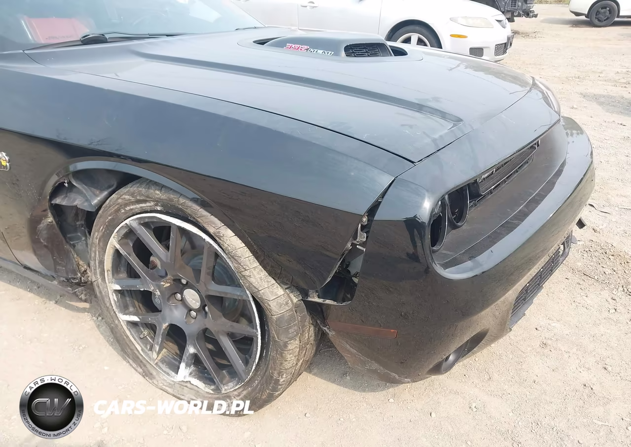 2016 Dodge Challenger 392 Hemi Scat Pack Shaker VIN:2C3CDZFJ4GH255427 - 17