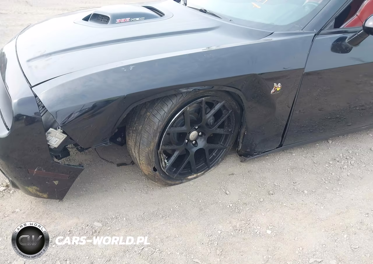 2016 Dodge Challenger 392 Hemi Scat Pack Shaker VIN:2C3CDZFJ4GH255427 - 19