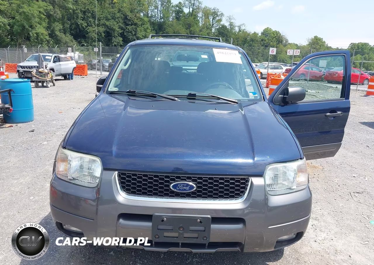 2004 Ford Escape Xlt VIN:1FMYU93114KB42248 - 6
