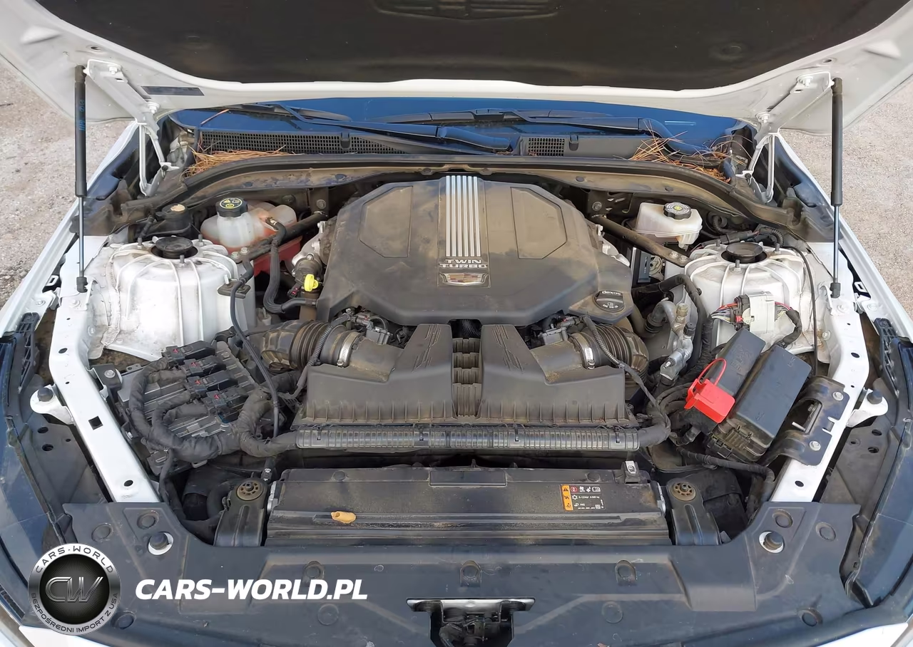 2023 Cadillac Ct5 Premium Luxury VIN:1G6DN5RW3P0135008 - 10