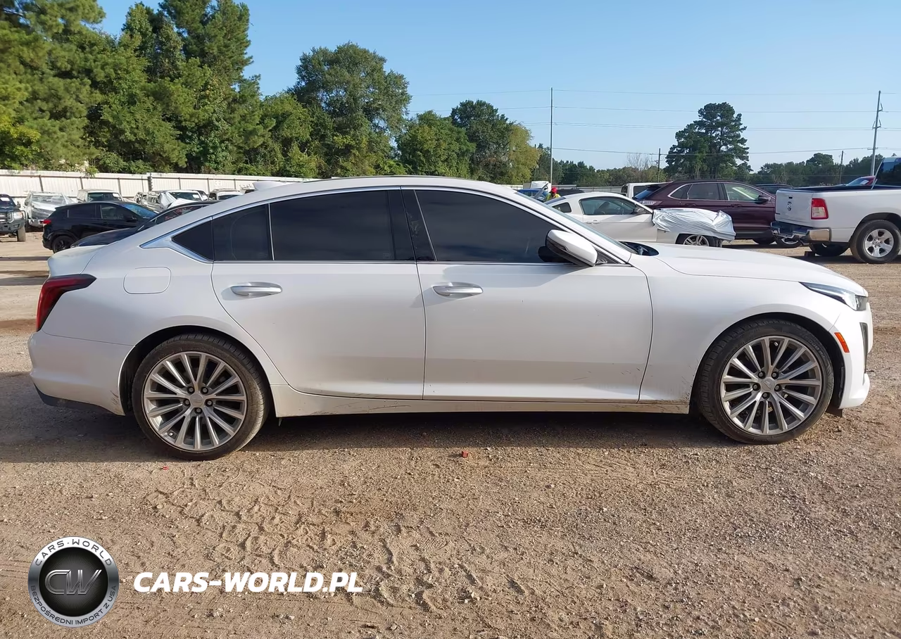 2023 Cadillac Ct5 Premium Luxury VIN:1G6DN5RW3P0135008 - 13