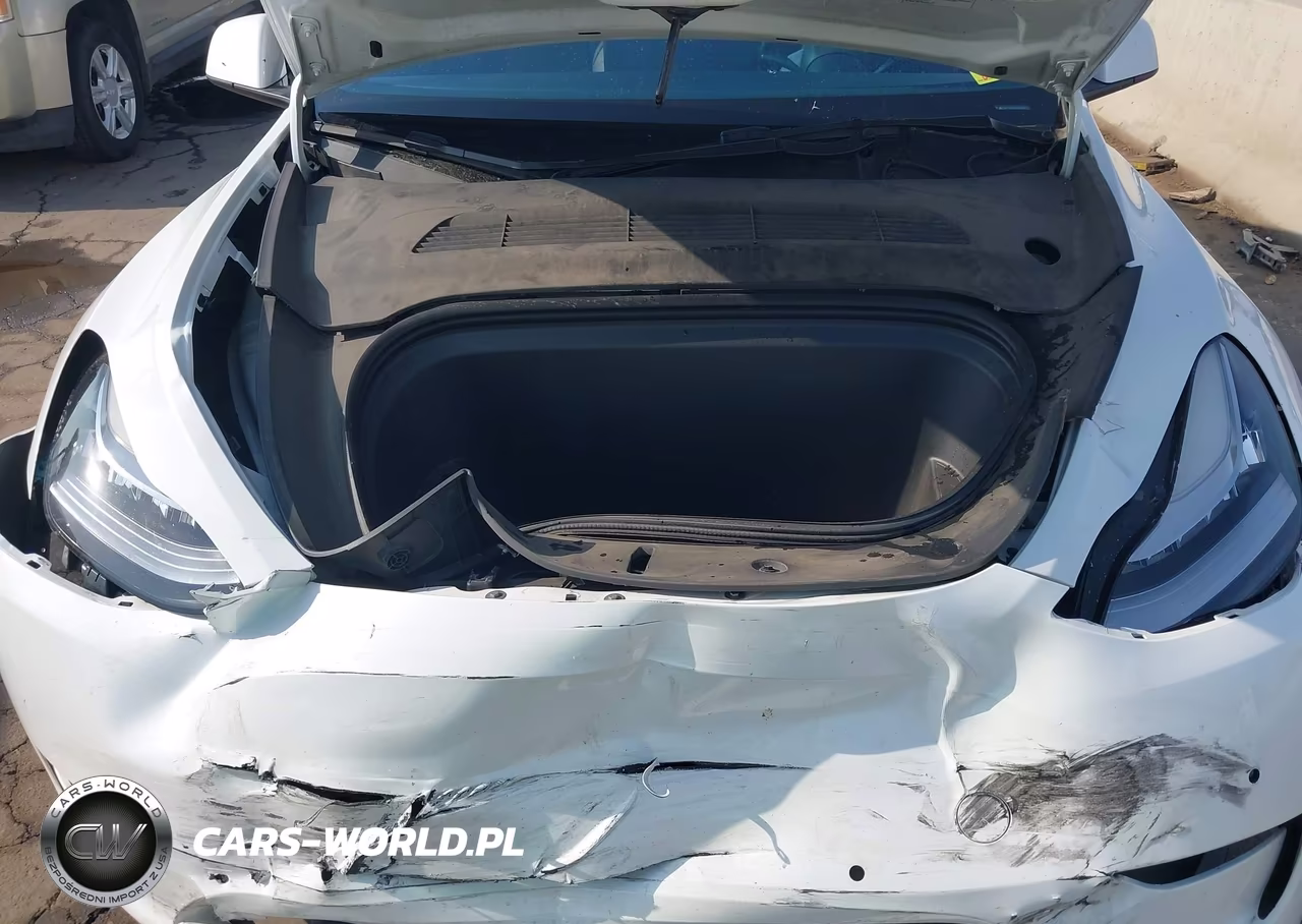 2022 Tesla Model Y Long Range Dual Motor All-Wheel Drive VIN:7SAYGDEE8NA012531 - 10