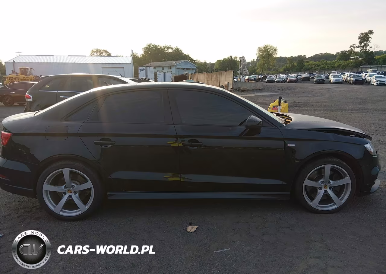 2020 Audi A3 Premium Plus 45 Tfsi S Line Quattro S Tronic VIN:WAUJEGFF4LA054973 - 13