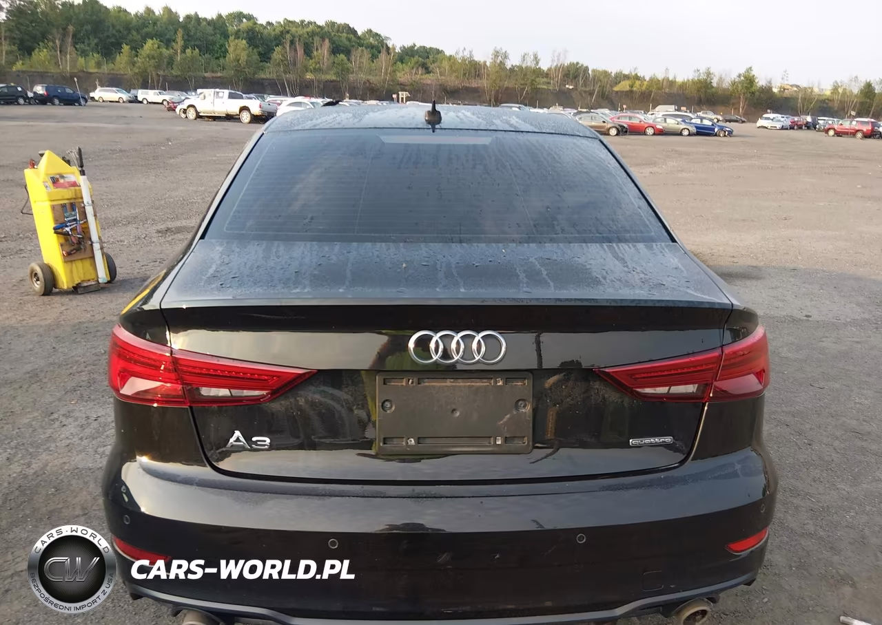 2020 Audi A3 Premium Plus 45 Tfsi S Line Quattro S Tronic VIN:WAUJEGFF4LA054973 - 16