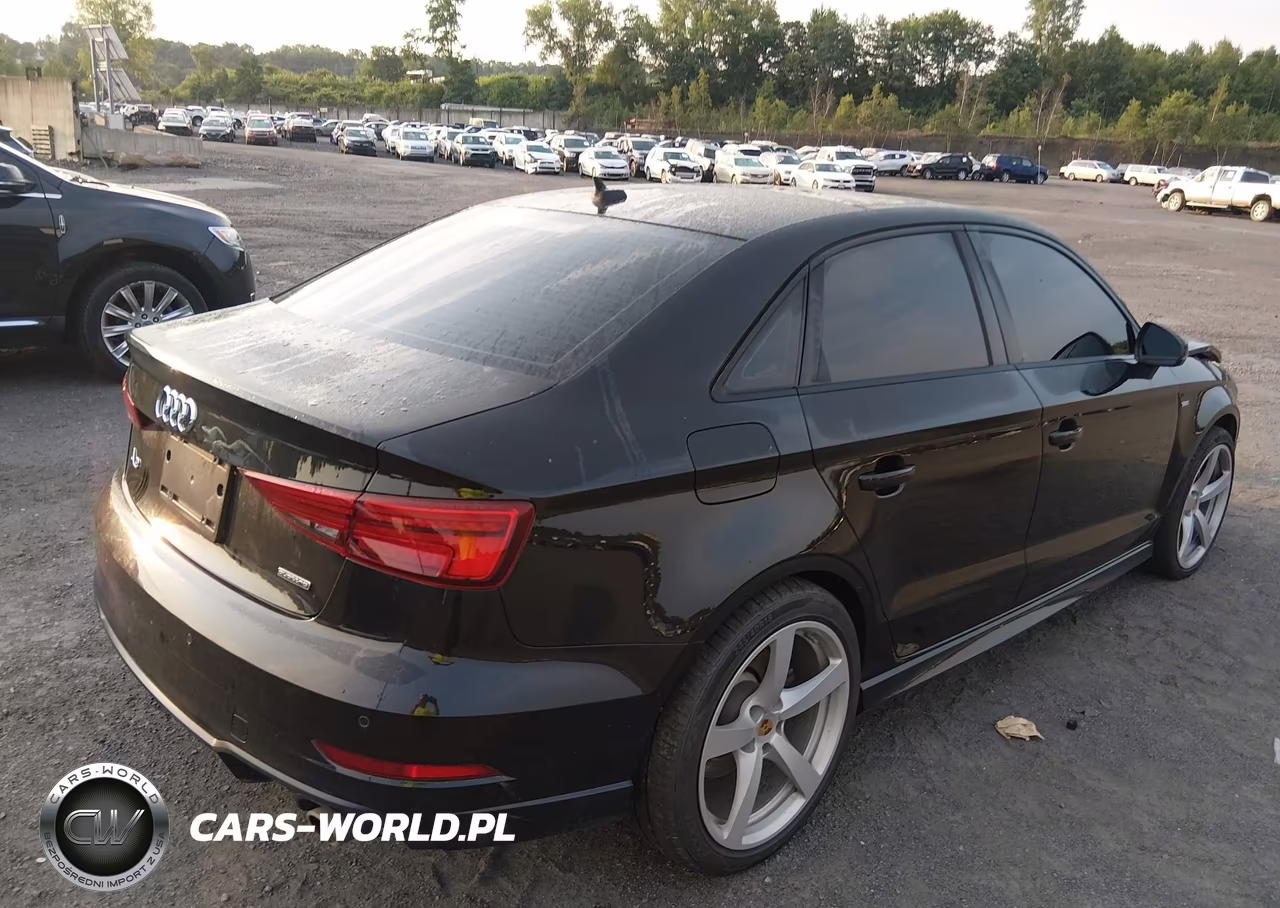 2020 Audi A3 Premium Plus 45 Tfsi S Line Quattro S Tronic VIN:WAUJEGFF4LA054973 - 4