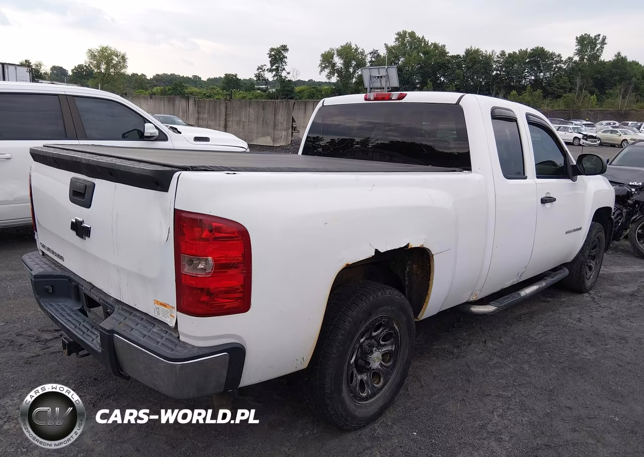 2009 Chevrolet Silverado 1500 Work Truck VIN:1GCEC19X79Z167726 - 4