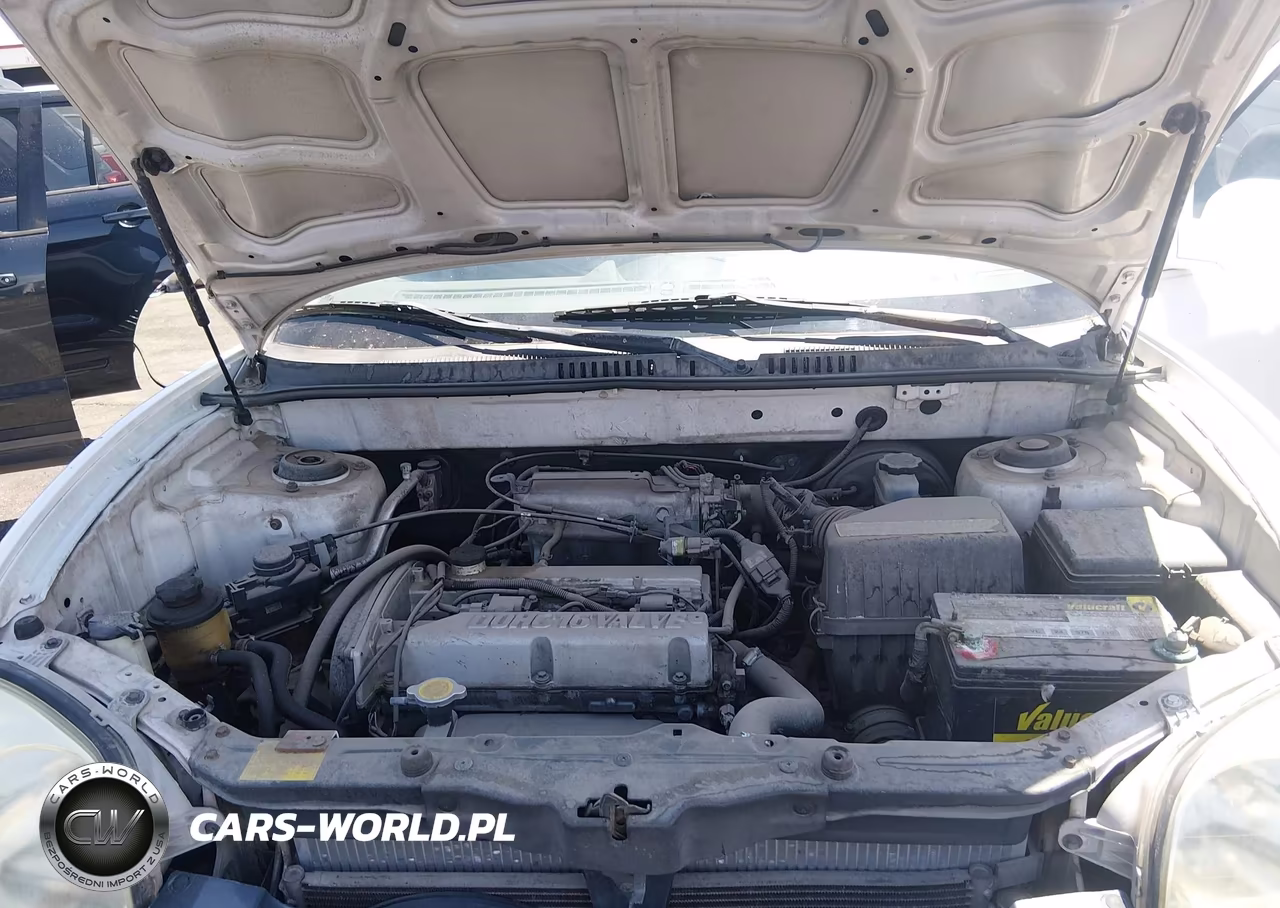 2002 Hyundai Santa Fe VIN:KM8SB12B12U223596 - 10