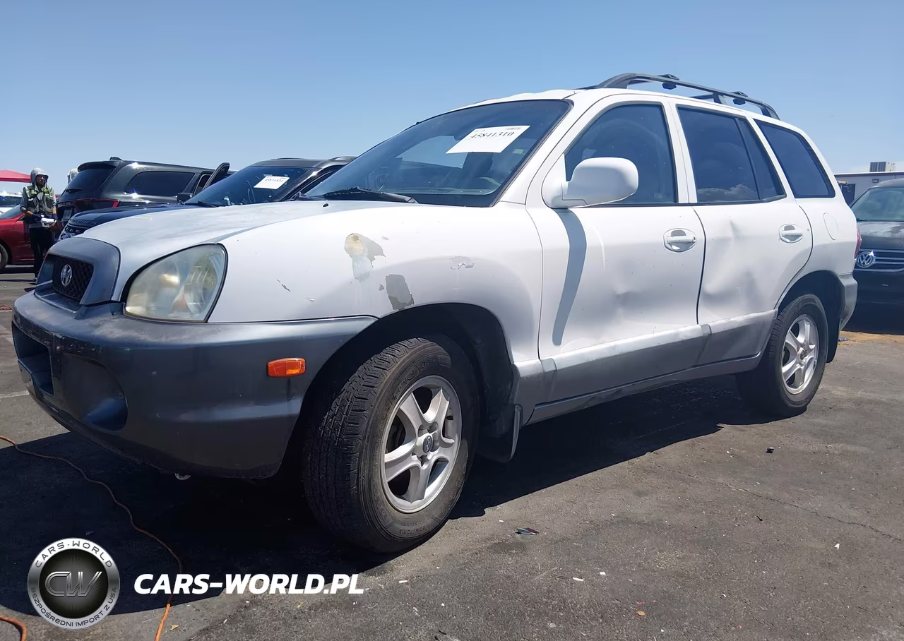 2002 Hyundai Santa Fe VIN:KM8SB12B12U223596 - 2