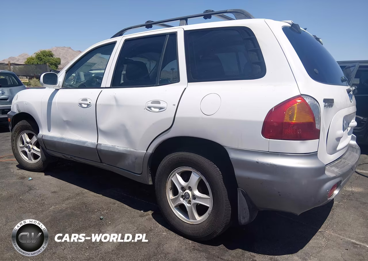2002 Hyundai Santa Fe VIN:KM8SB12B12U223596 - 3