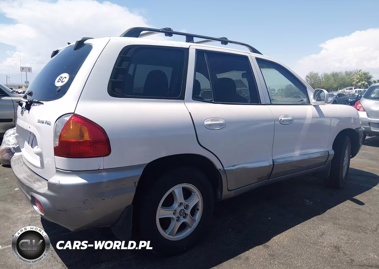 2002 Hyundai Santa Fe VIN:KM8SB12B12U223596 - 4