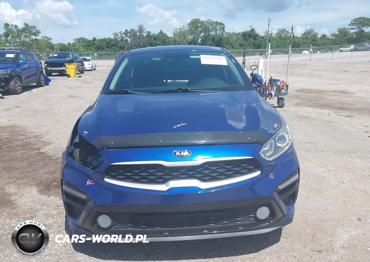2019 Kia Forte Lxs VIN:3KPF24AD3KE123315 - 13