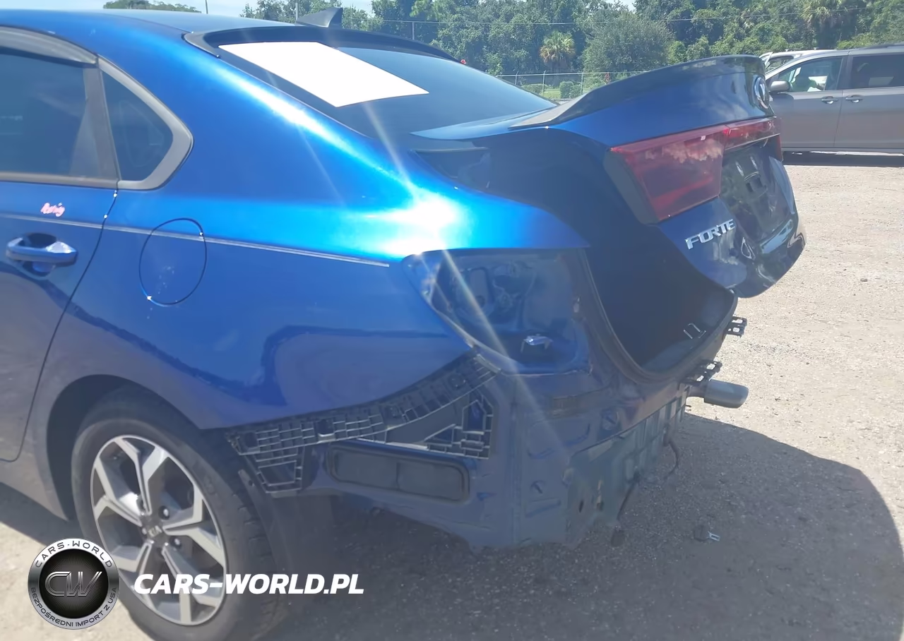 2019 Kia Forte Lxs VIN:3KPF24AD3KE123315 - 6