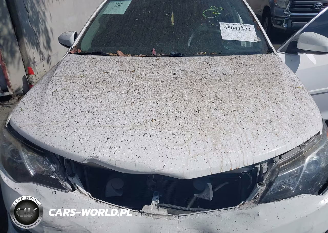 2013 Toyota Camry Se VIN:4T1BF1FK4DU689623 - 10