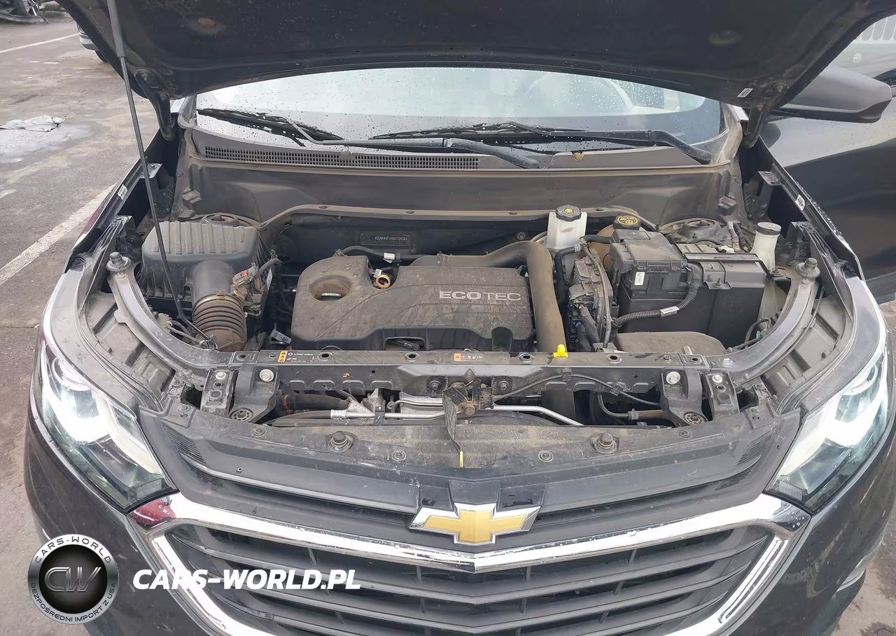 2018 Chevrolet Equinox Ls VIN:2GNAXHEV4J6110438 - 10