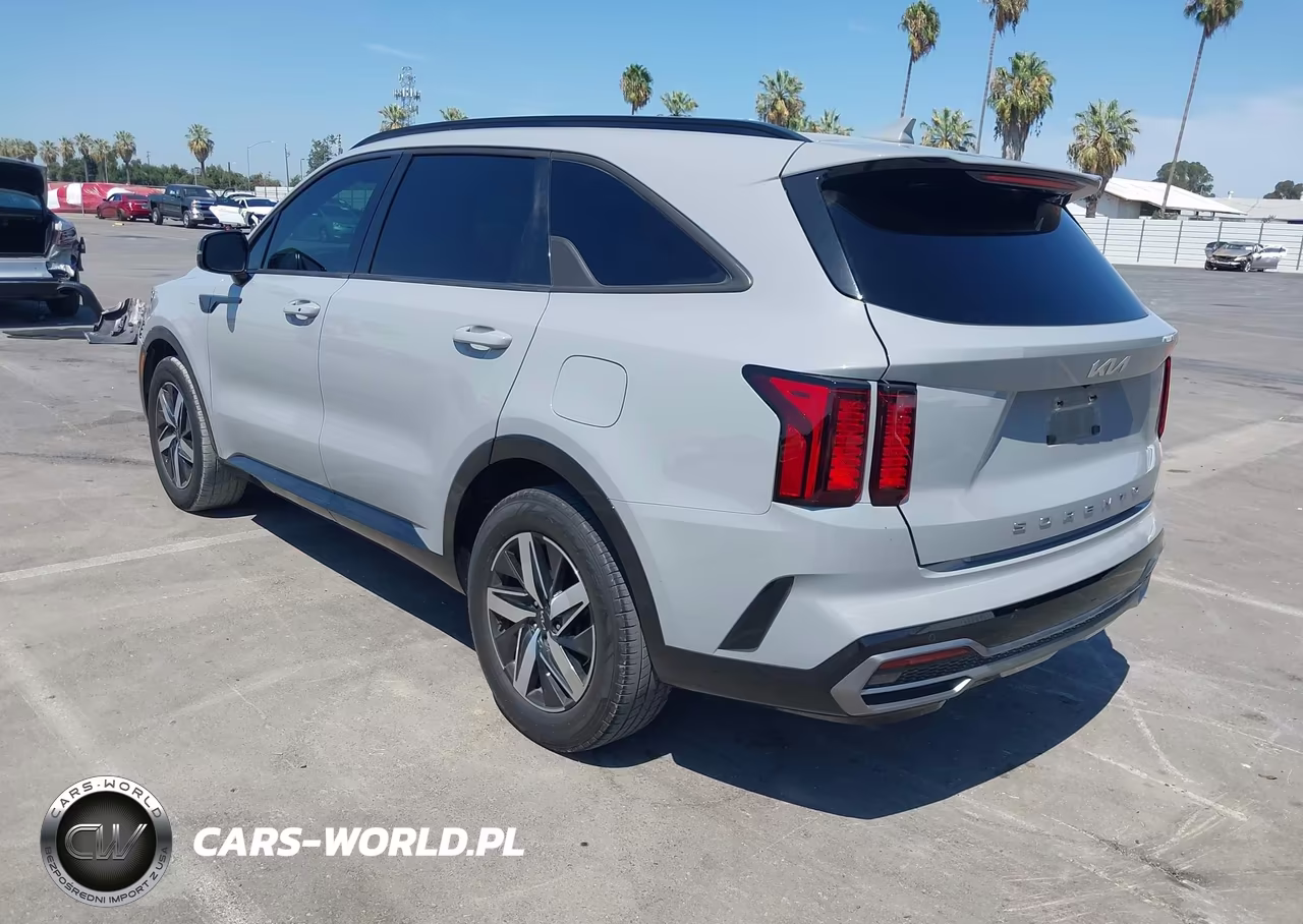 2022 Kia Sorento Ex VIN:5XYRH4LF3NG154047 - 3