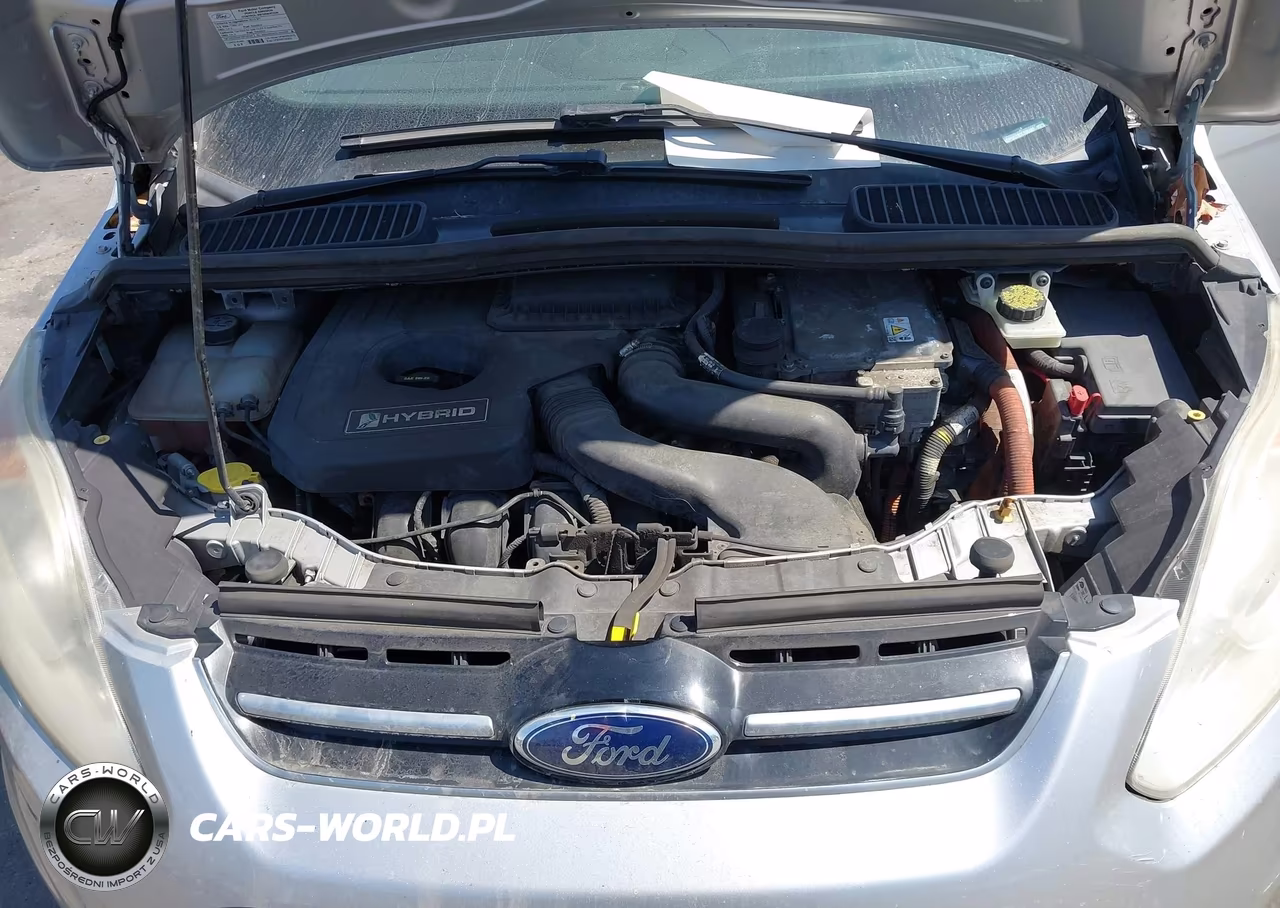 2013 Ford C-Max Hybrid Sel VIN:1FADP5BU3DL506488 - 10