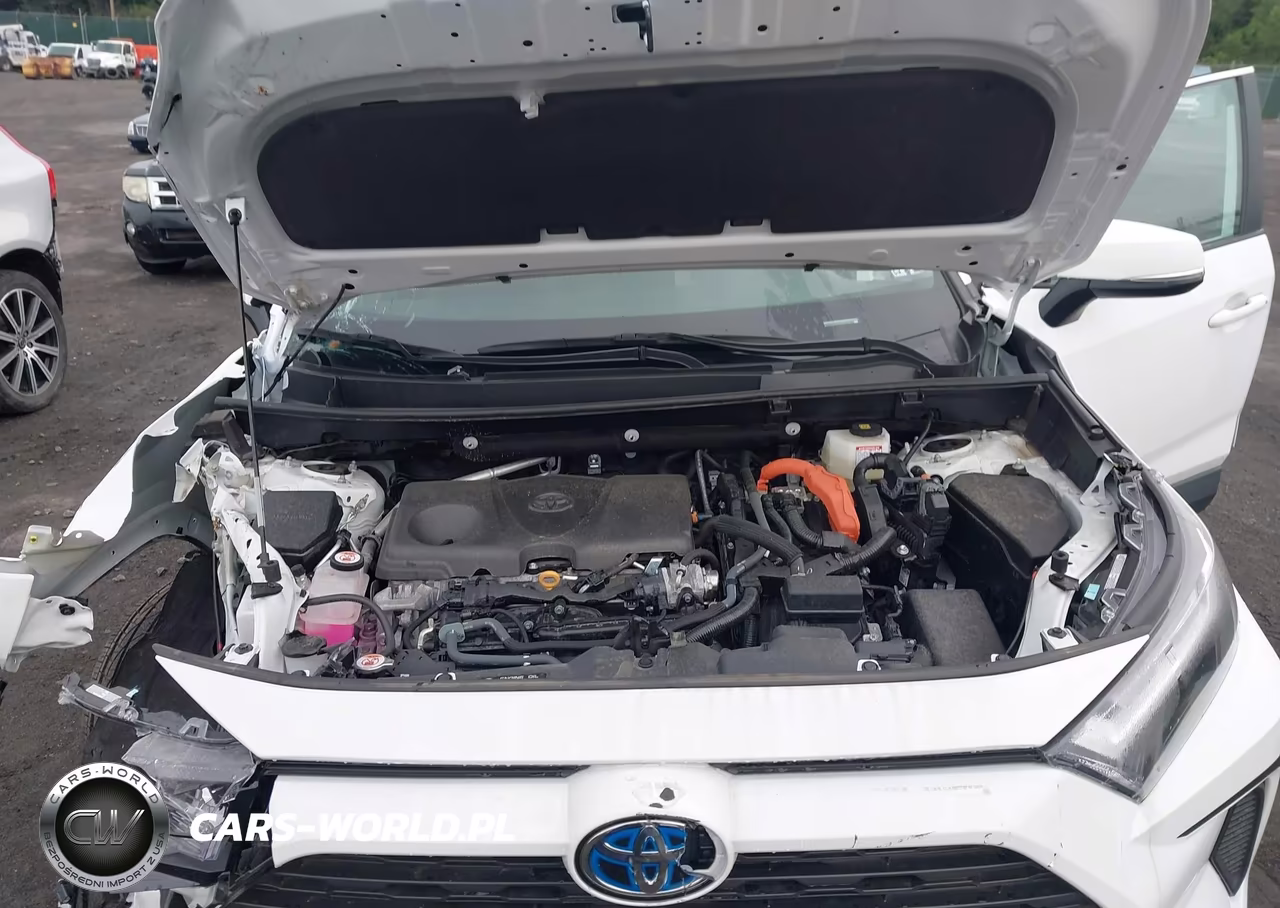 2024 Toyota Rav4 Hybrid Xle VIN:2T3RWRFV1RW248005 - 10