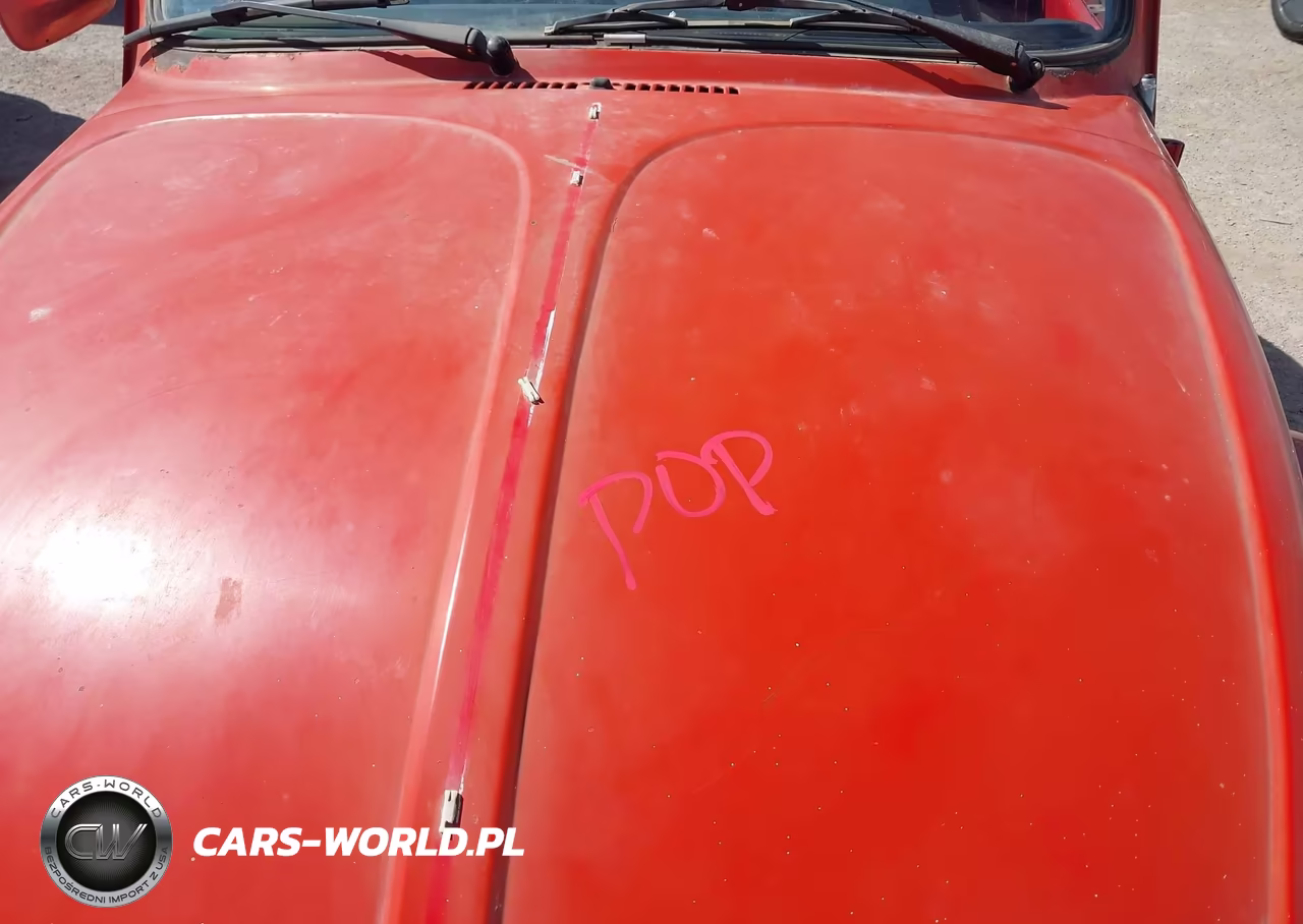 1979 Volkswagen Beetle VIN:1592019685 - 10