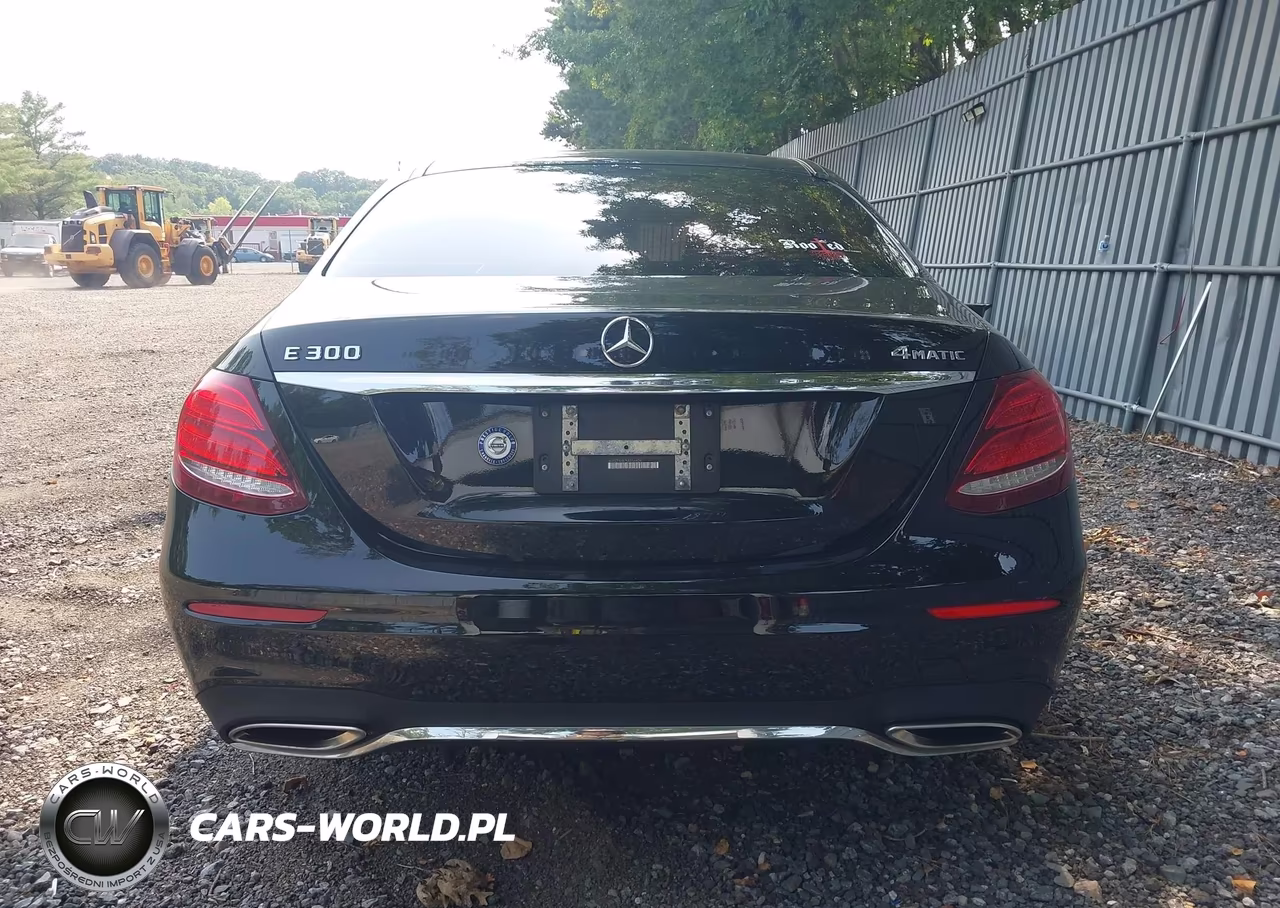2019 Mercedes-Benz E 300 4Matic VIN:WDDZF4KB7KA556434 - 16