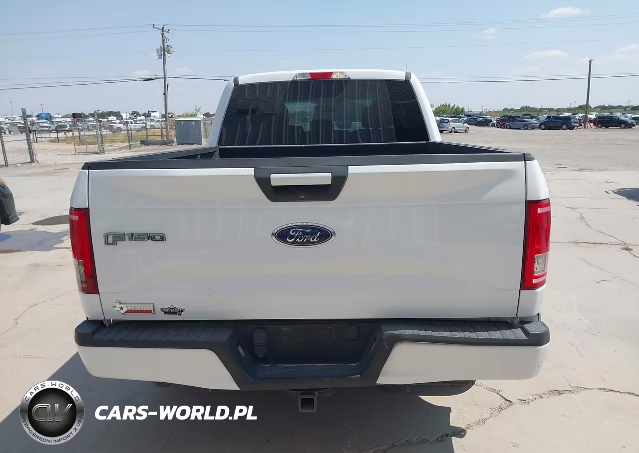 2016 Ford F-150 Xlt VIN:1FTEX1CP9GKE65097 - 16