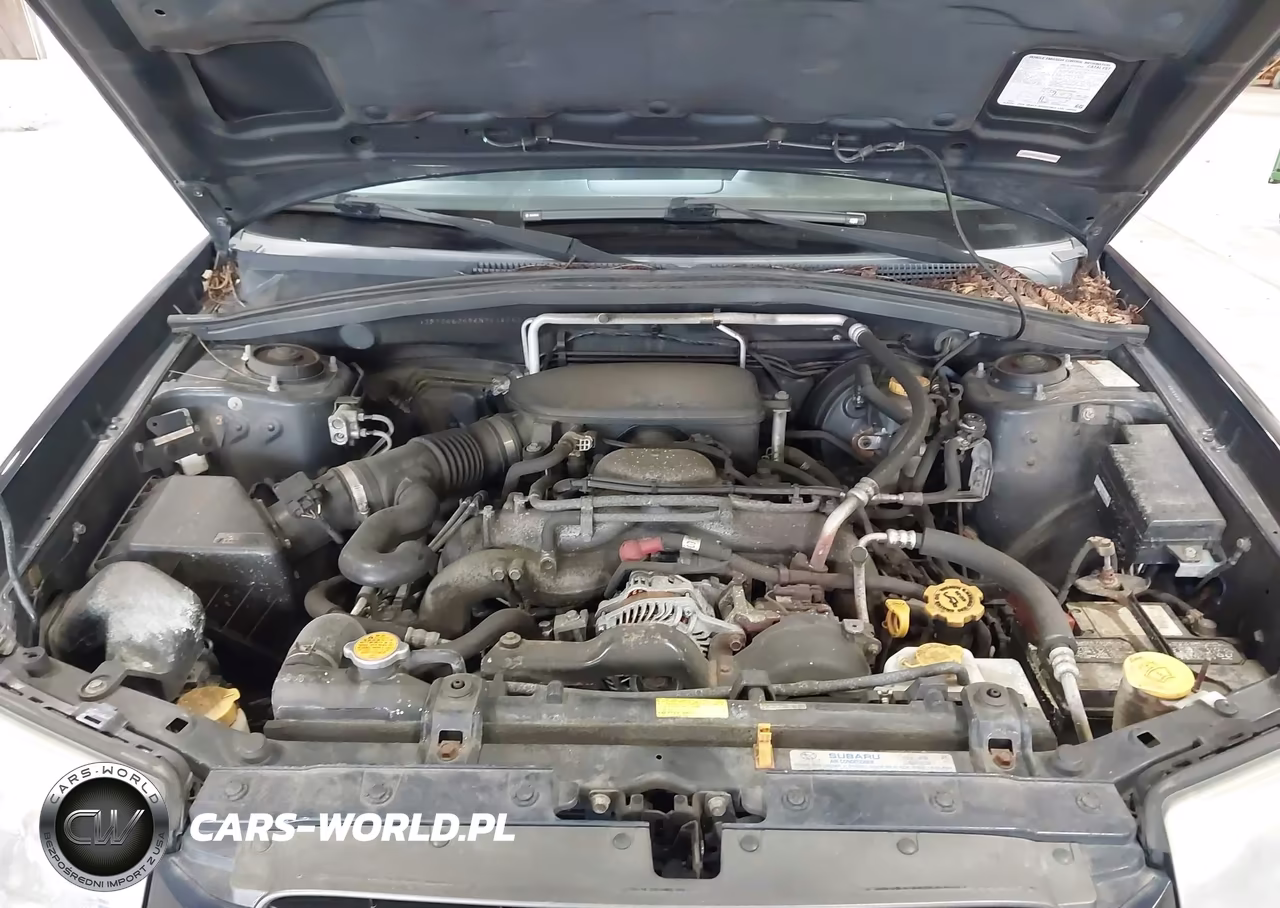 2006 Subaru Forester 2.5X VIN:JF1SG63696H741416 - 10