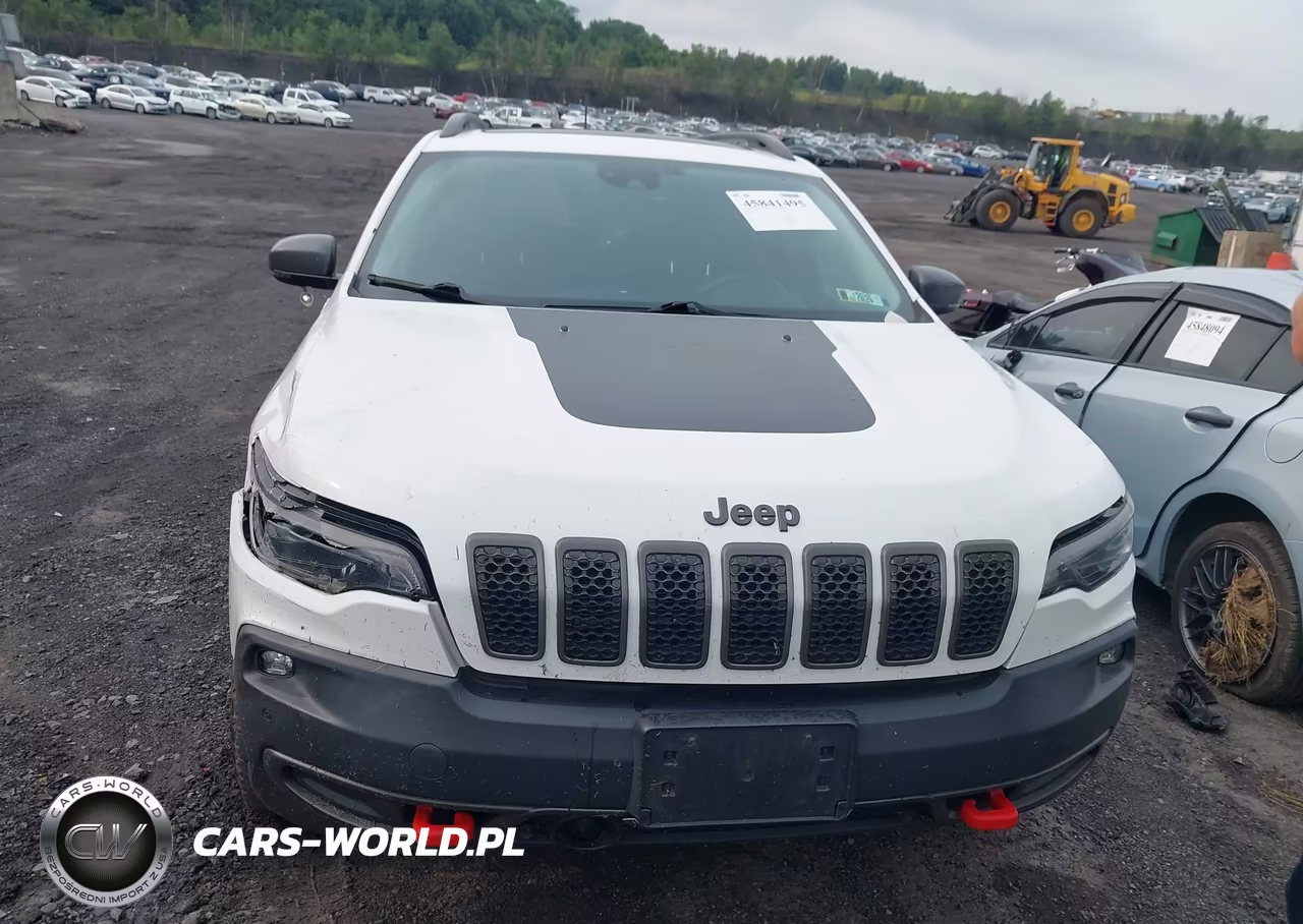 2019 Jeep Cherokee Trailhawk Elite 4X4 VIN:1C4PJMBX0KD113116 - 12