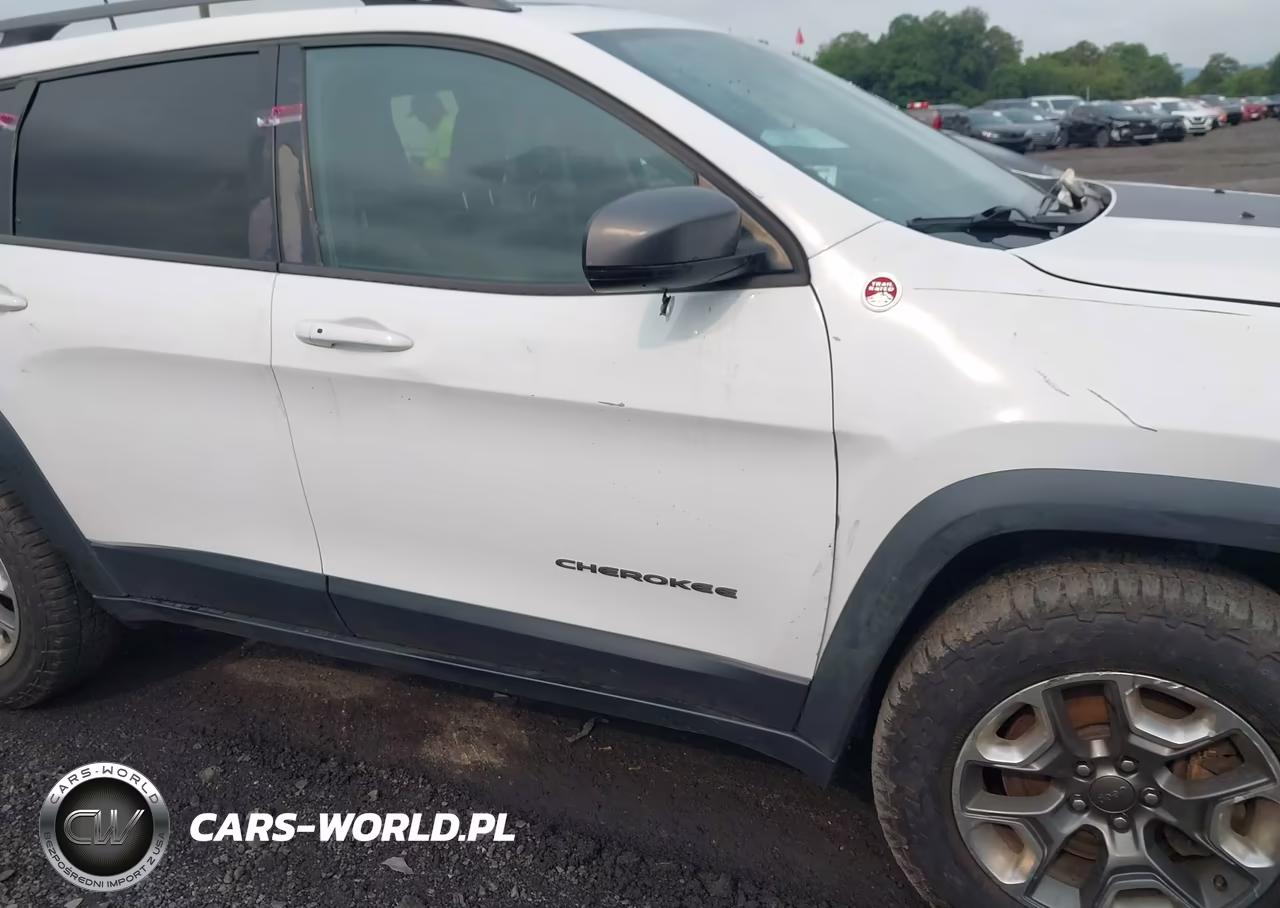 2019 Jeep Cherokee Trailhawk Elite 4X4 VIN:1C4PJMBX0KD113116 - 17