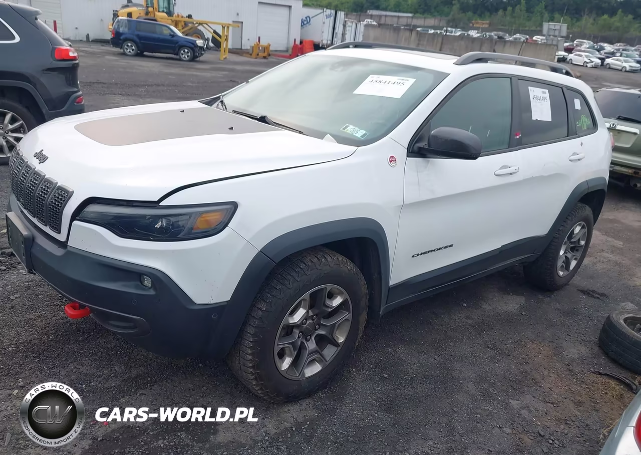 2019 Jeep Cherokee Trailhawk Elite 4X4 VIN:1C4PJMBX0KD113116 - 2