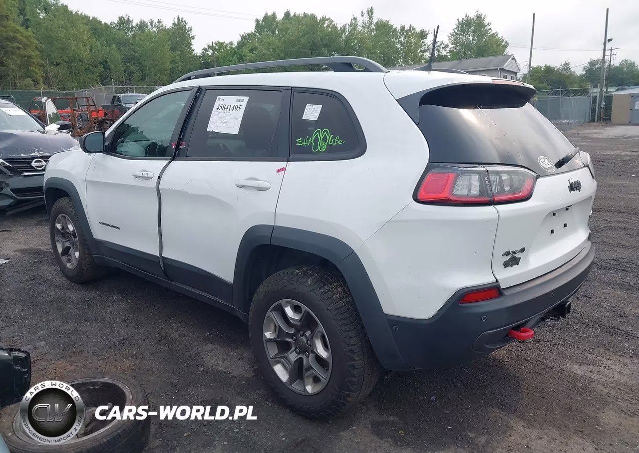 2019 Jeep Cherokee Trailhawk Elite 4X4 VIN:1C4PJMBX0KD113116 - 3