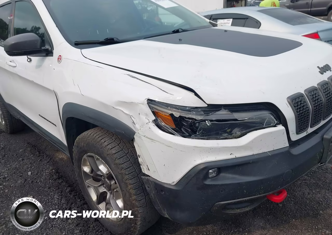 2019 Jeep Cherokee Trailhawk Elite 4X4 VIN:1C4PJMBX0KD113116 - 6