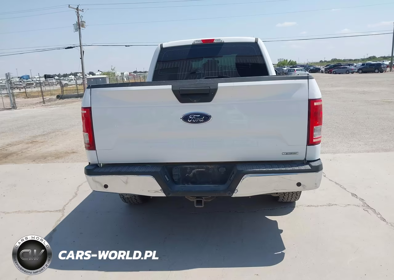 2019 Ford F-150 Xl VIN:1FTFX1E4XKKD17413 - 16