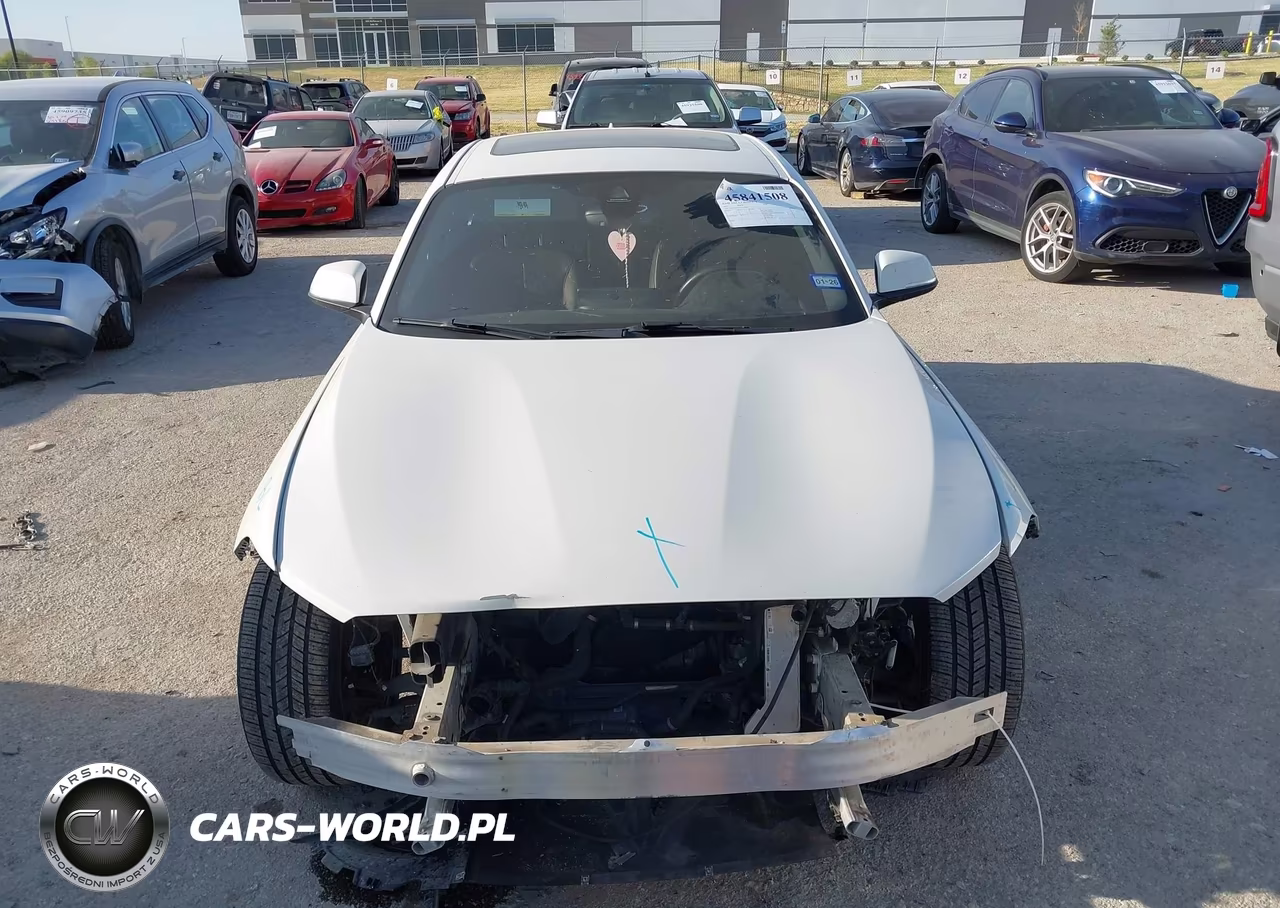 2019 BMW 230I xDrive VIN:WBA2J3C5XKVD49056 - 11