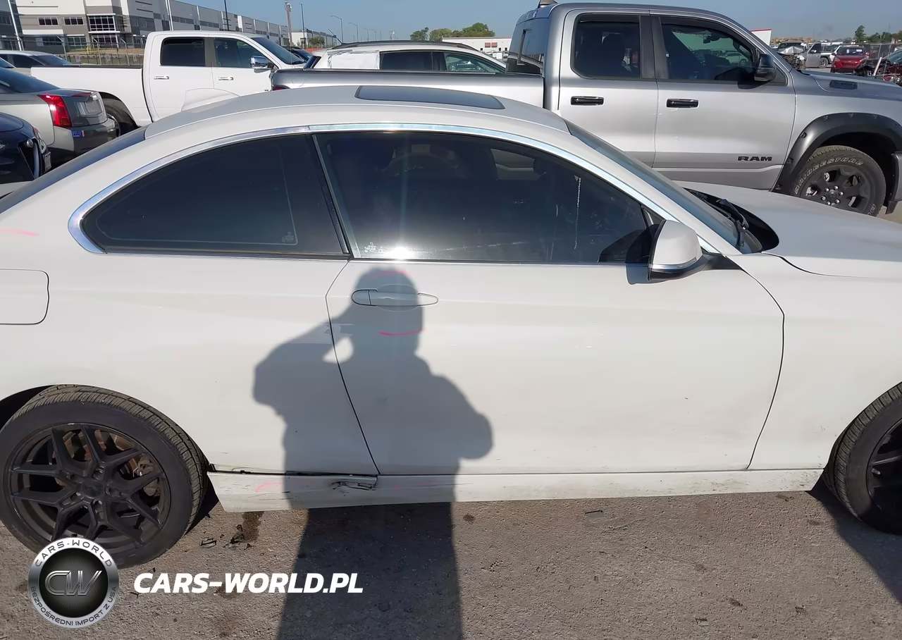 2019 BMW 230I xDrive VIN:WBA2J3C5XKVD49056 - 12