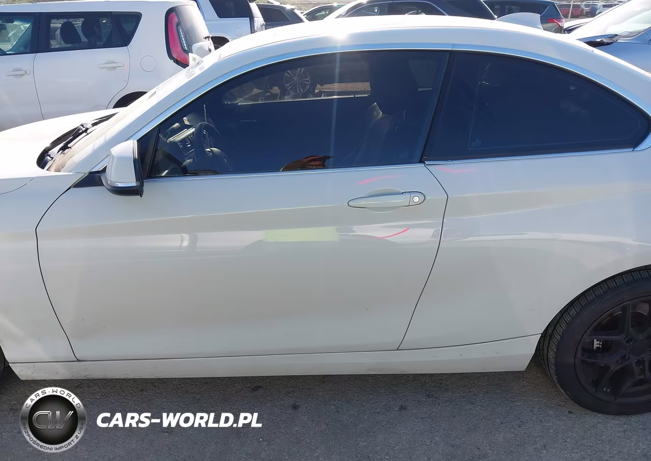 2019 BMW 230I xDrive VIN:WBA2J3C5XKVD49056 - 13