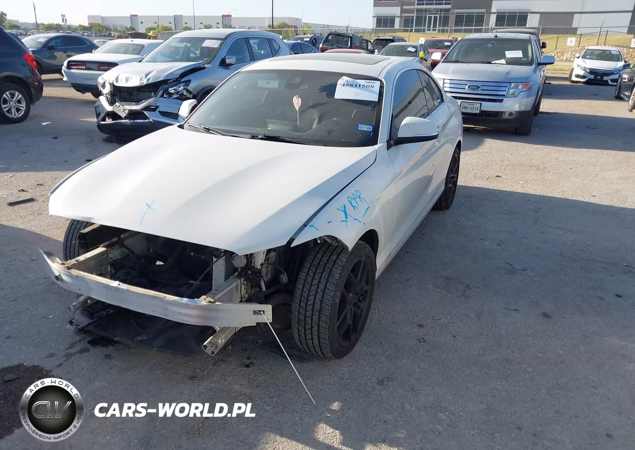 2019 BMW 230I xDrive VIN:WBA2J3C5XKVD49056 - 2
