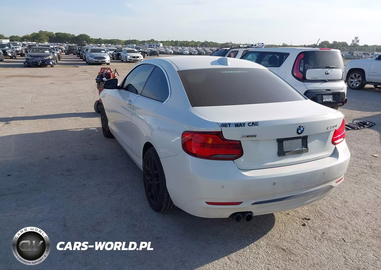 2019 BMW 230I xDrive VIN:WBA2J3C5XKVD49056 - 3