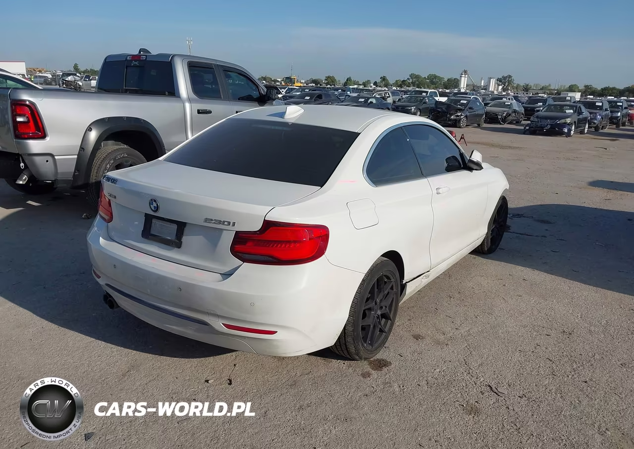 2019 BMW 230I xDrive VIN:WBA2J3C5XKVD49056 - 4