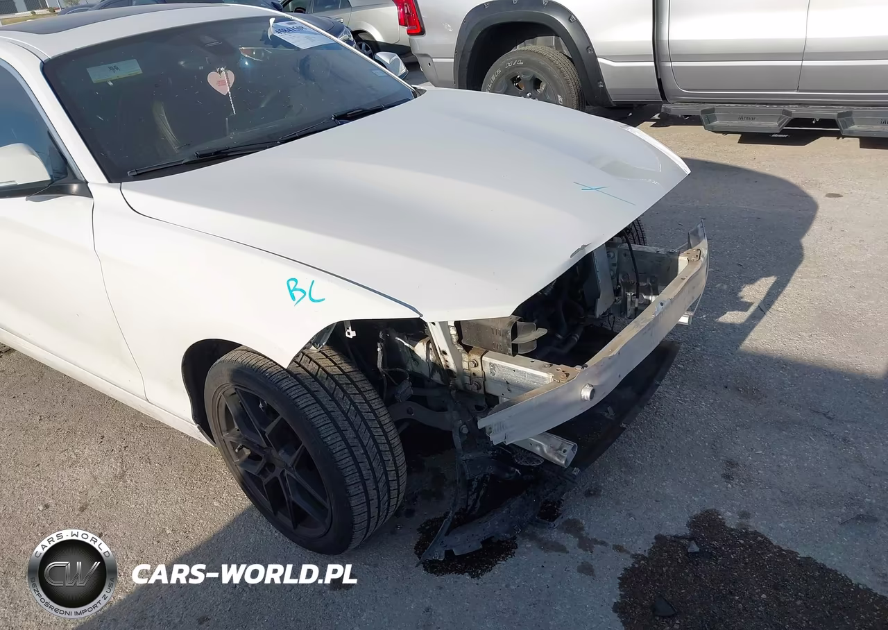 2019 BMW 230I xDrive VIN:WBA2J3C5XKVD49056 - 6