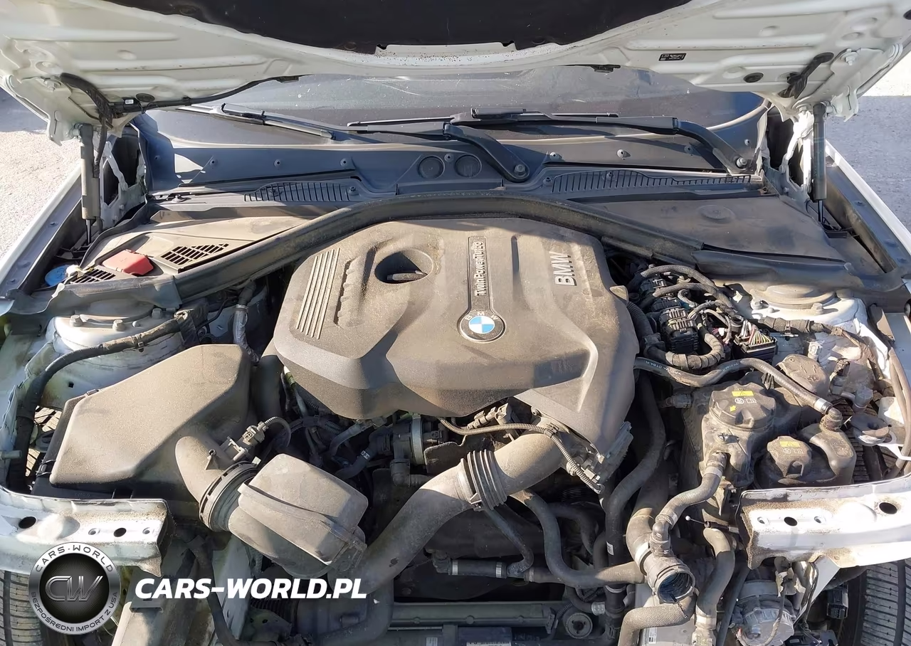 2019 BMW 230I xDrive VIN:WBA2J3C5XKVD49056 - 9