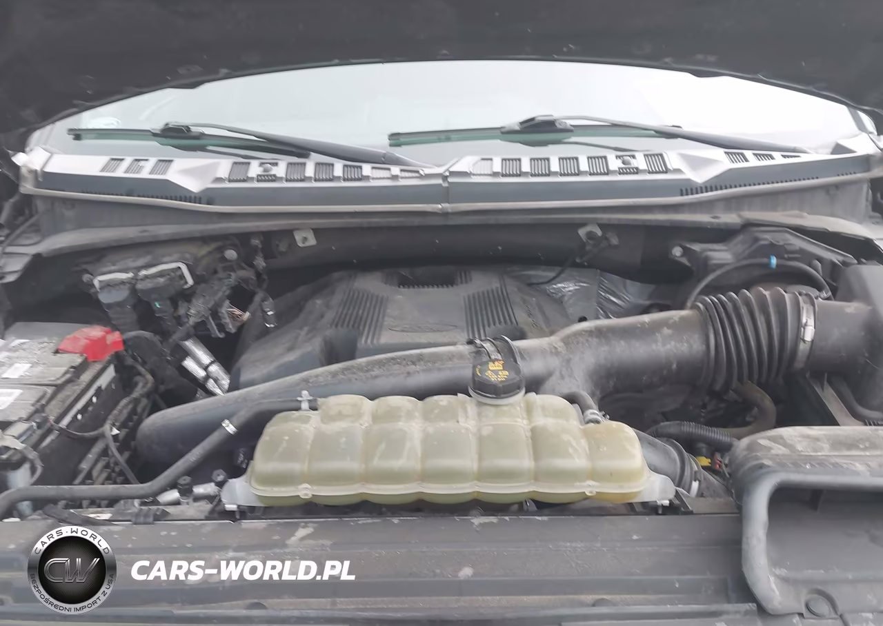 2019 Ford F-150 Xlt VIN:1FTEW1E46KKE31083 - 10