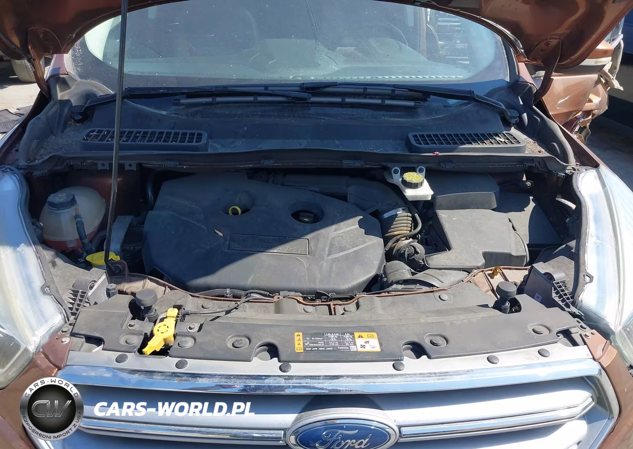 2017 Ford Escape Titanium VIN:1FMCU9J99HUA10707 - 10