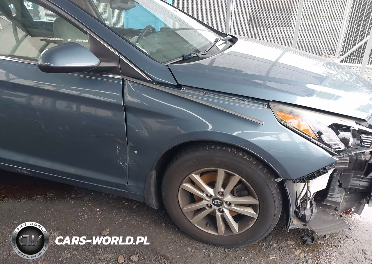 2015 Hyundai Sonata Se VIN:5NPE24AF1FH217420 - 18