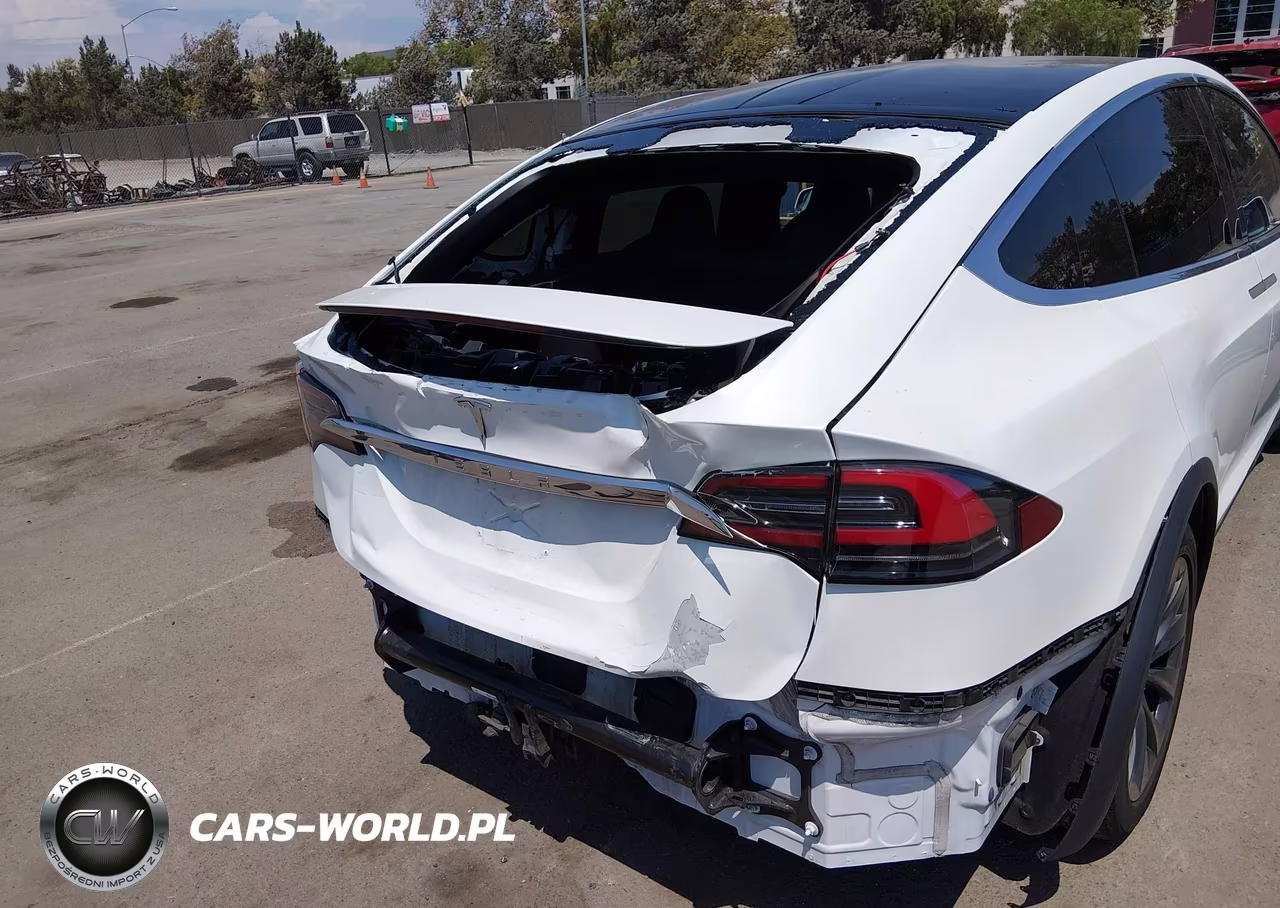 2019 Tesla Model X 100D-75D-Long Range VIN:5YJXCAE23KF160500 - 20