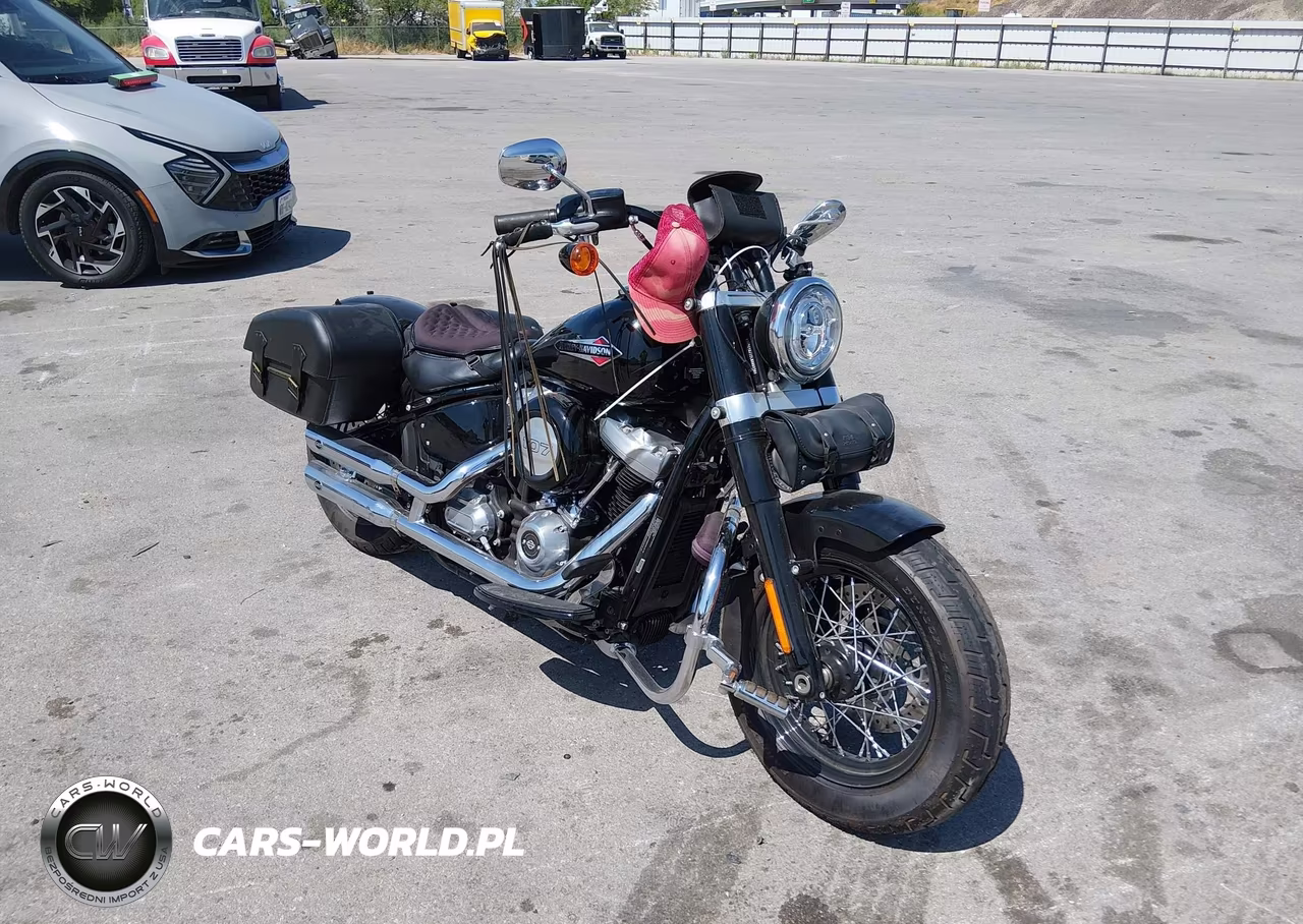 2020 Harley-Davidson Flsl VIN:1HD1YDJ12LB066830 - 1