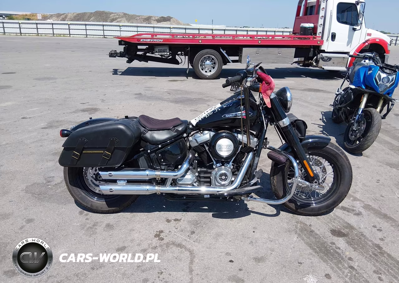 2020 Harley-Davidson Flsl VIN:1HD1YDJ12LB066830 - 12