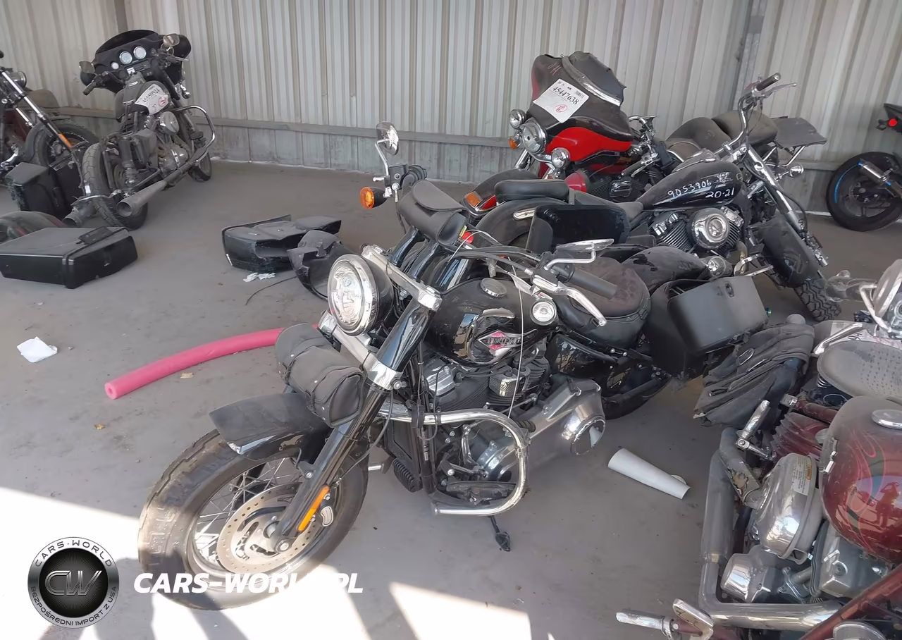 2020 Harley-Davidson Flsl VIN:1HD1YDJ12LB066830 - 14