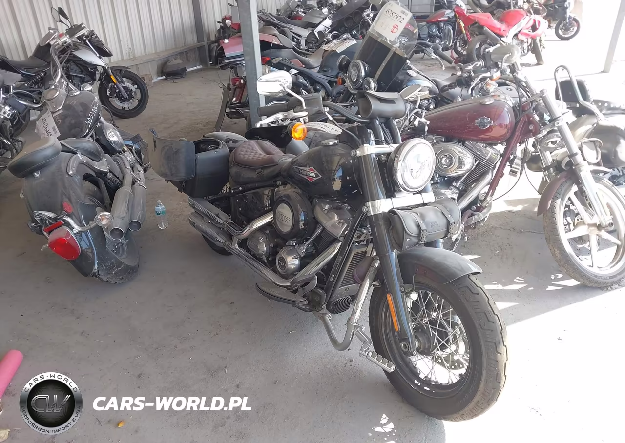 2020 Harley-Davidson Flsl VIN:1HD1YDJ12LB066830 - 15