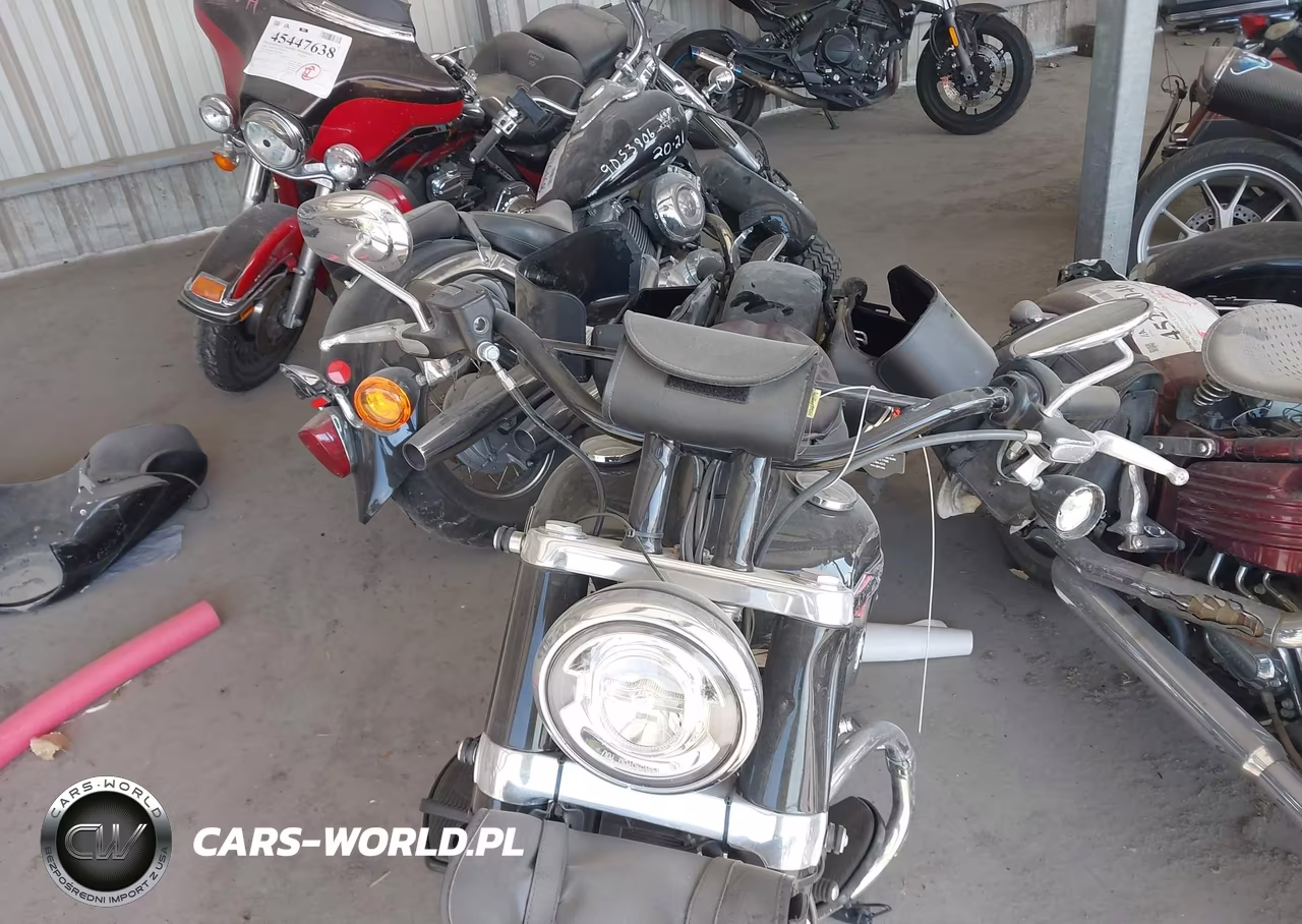 2020 Harley-Davidson Flsl VIN:1HD1YDJ12LB066830 - 16