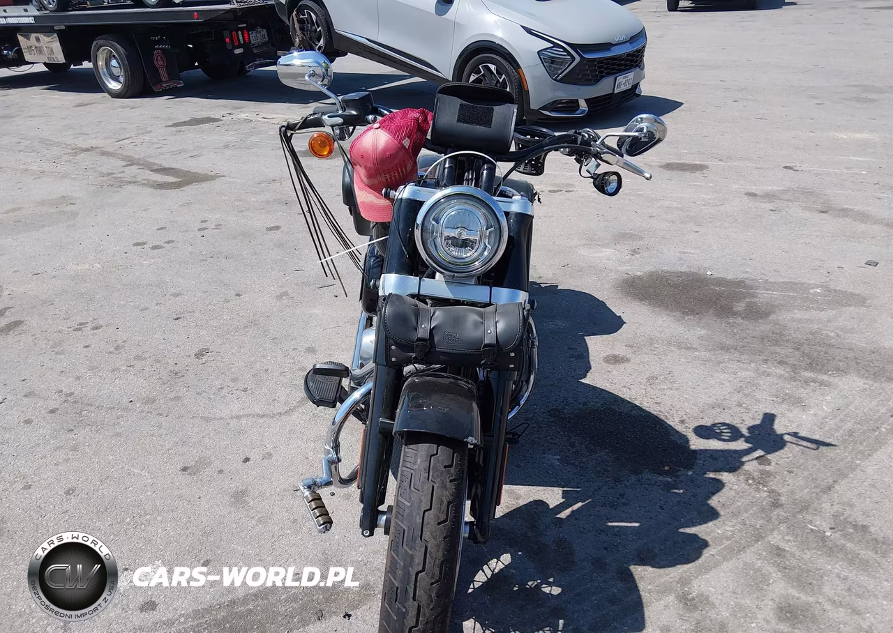 2020 Harley-Davidson Flsl VIN:1HD1YDJ12LB066830 - 5